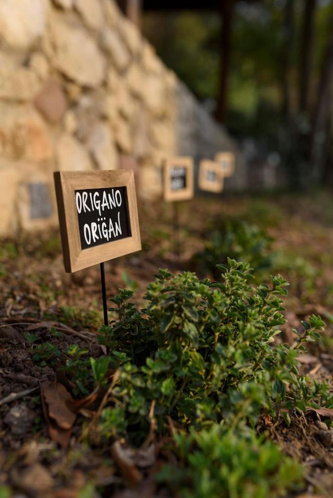 Maison Balu Villa Torri Del Benaco Bagian luar foto